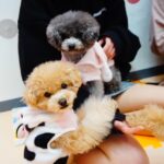 出勤してます👶🏻🌟