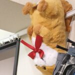 僕のお気に入りのぬいぐるみが宙づりにされてました【池袋リフレ女子求人】