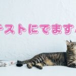 リフレで稼ぎたいならGWには出勤した方が良い理由【池袋JKリフレ女子求人】