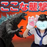 🦖🦖🦖26日出勤【ここな】