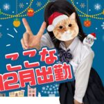【12月出勤】ここな