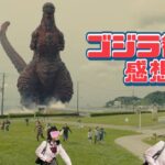 【ゴジラ-1.0感想後編】ここな