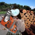 花粉症の皆様へお知らせ【ここな】