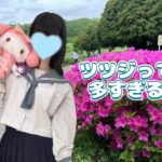 【ここな】ツツジって多すぎる