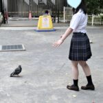 鳩と通じ合いたい🕊【ここな】