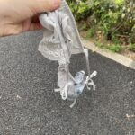 アカンやつ【ここな】