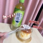 はじめまして ぬいです🐶🐾