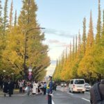 ゆうき出勤しました！