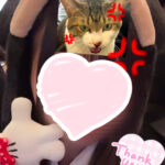 あずりです❣️あけましておめでとうございます🎍🎀