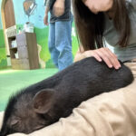 かなめこれから出勤！！