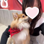 みやいるよ🎶