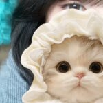 ゲリラ出勤です!あむ