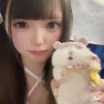 今日もあきなにしない？🐹💕